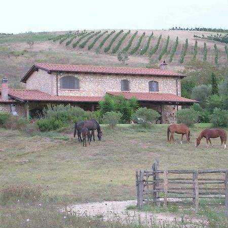 Casale Farnesiana B&B Tarquinia Bagian luar foto