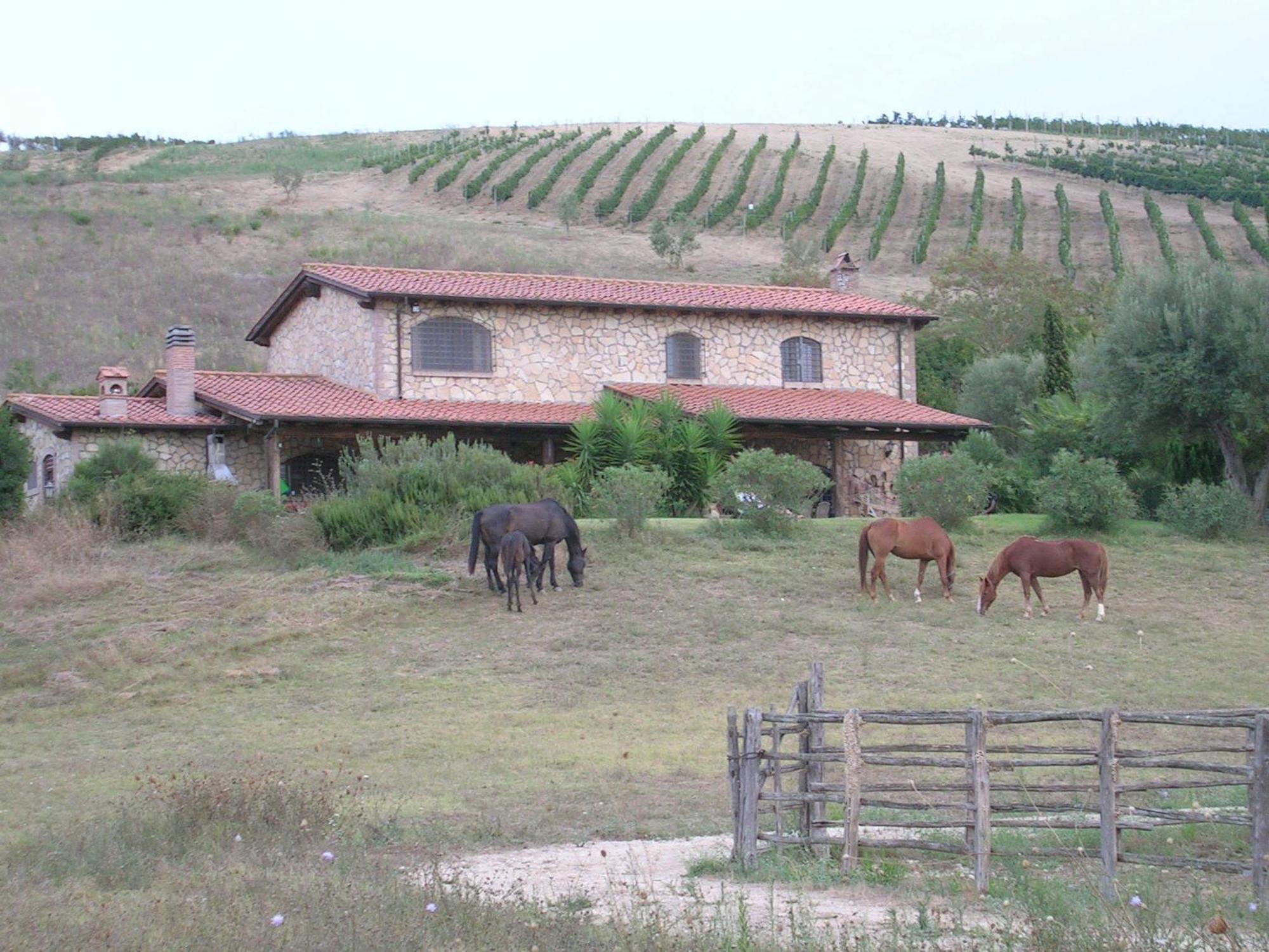 Casale Farnesiana B&B Tarquinia Bagian luar foto