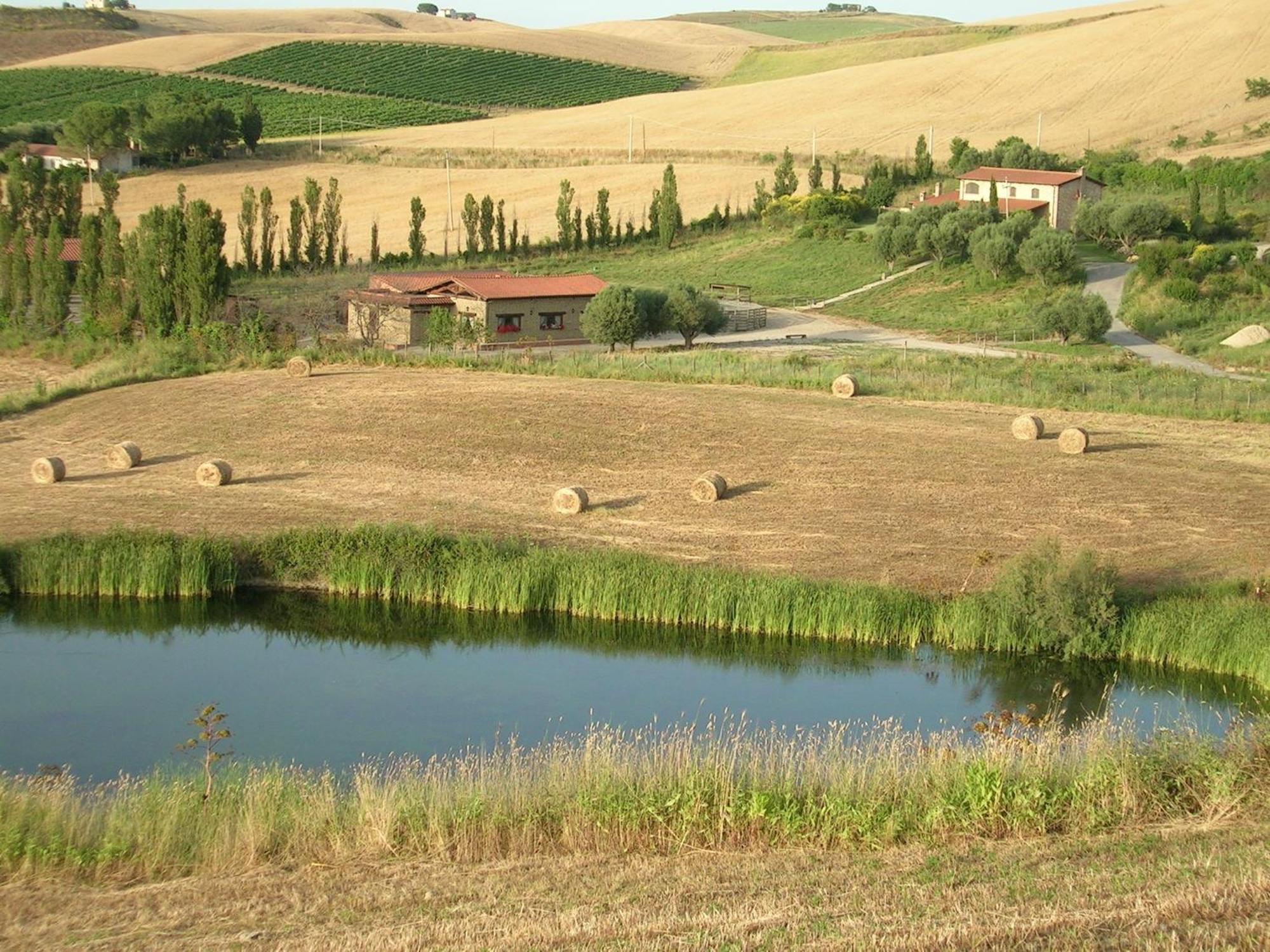 Casale Farnesiana B&B Tarquinia Bagian luar foto