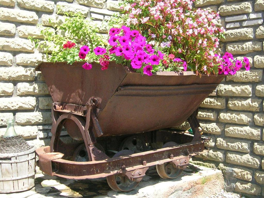 Casale Farnesiana B&B Tarquinia Bagian luar foto