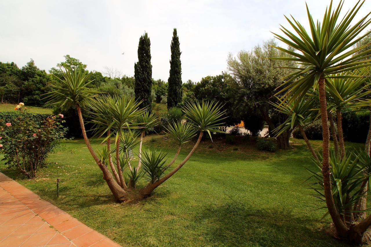 Casale Farnesiana B&B Tarquinia Bagian luar foto