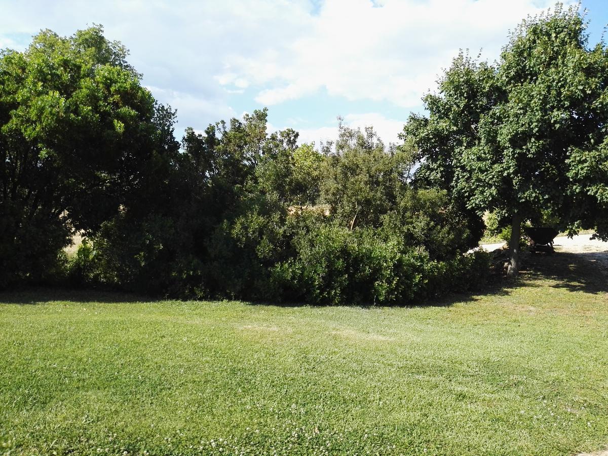 Casale Farnesiana B&B Tarquinia Bagian luar foto