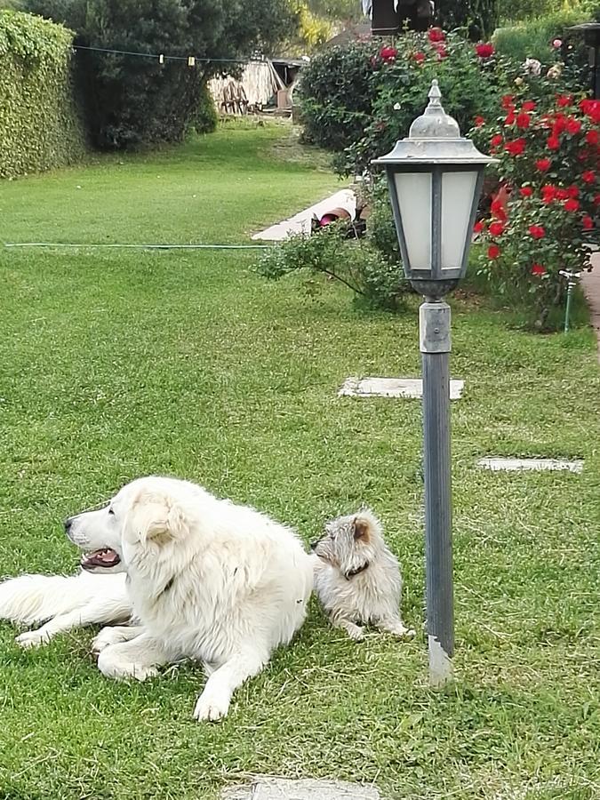 Casale Farnesiana B&B Tarquinia Bagian luar foto