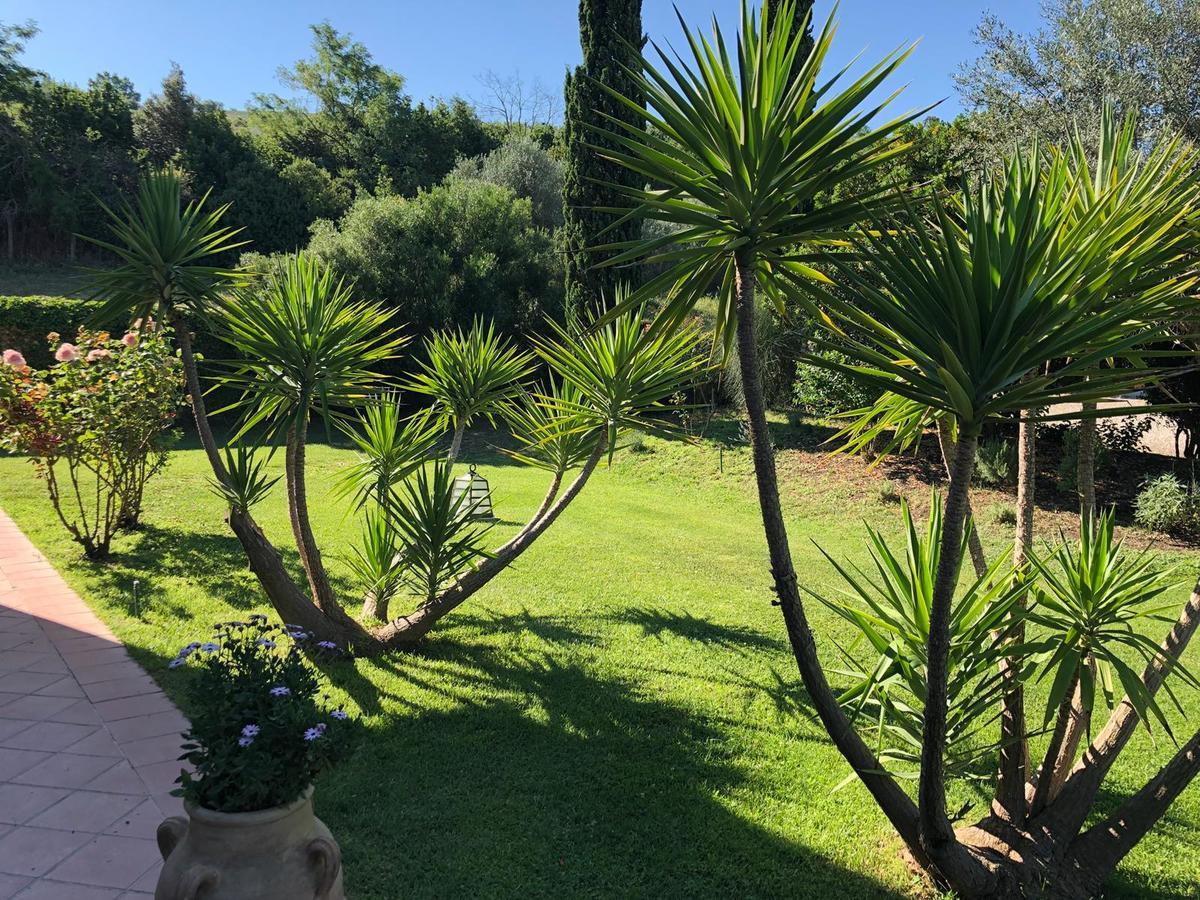 Casale Farnesiana B&B Tarquinia Bagian luar foto